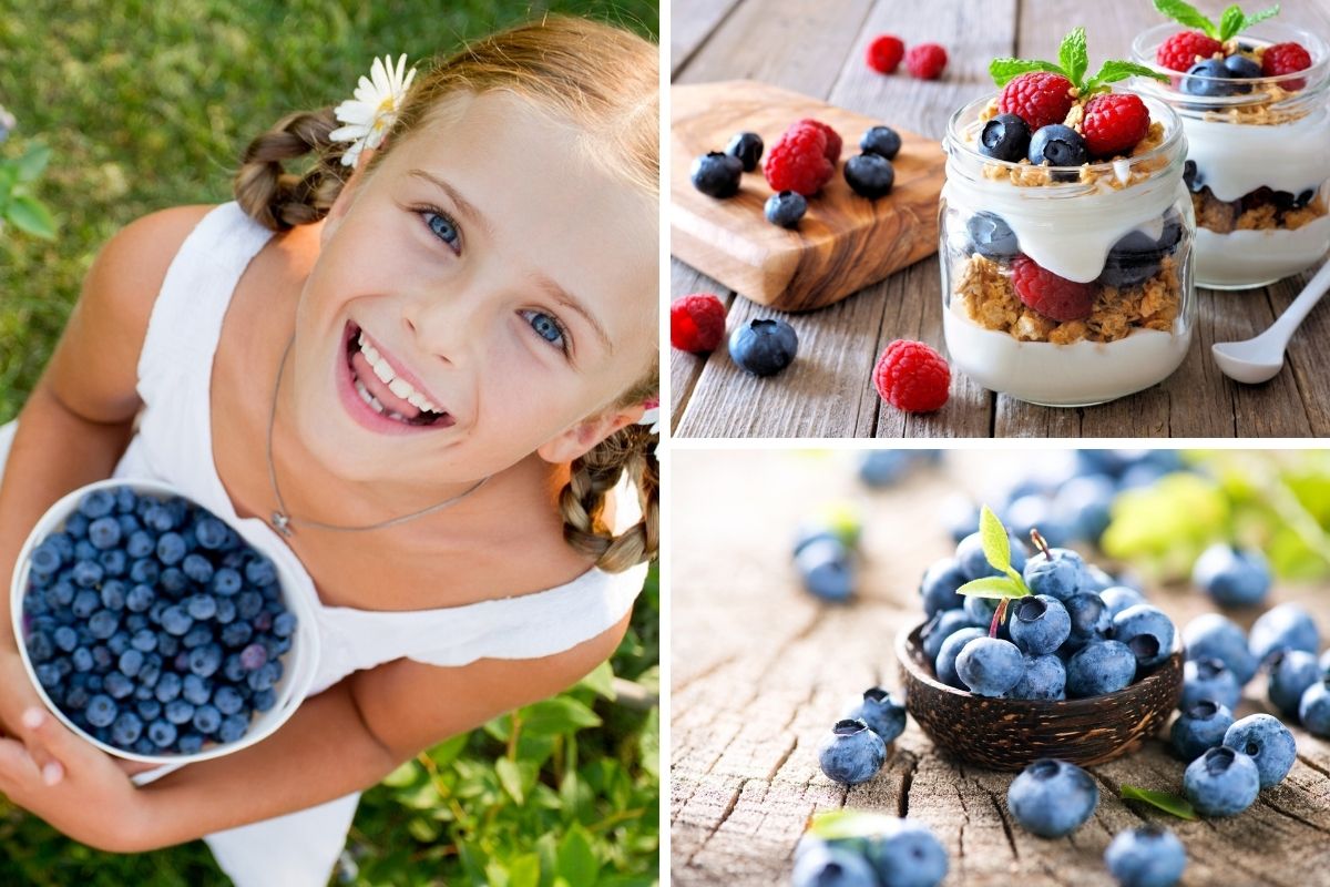 Topraksız tarım yöntemi ile yetişen Blueberry ile sağlık ve lezzet bir arada 